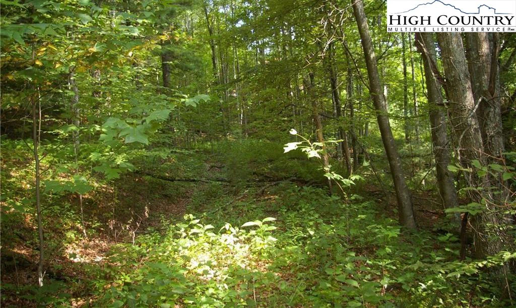 Image number 18 for the current listing