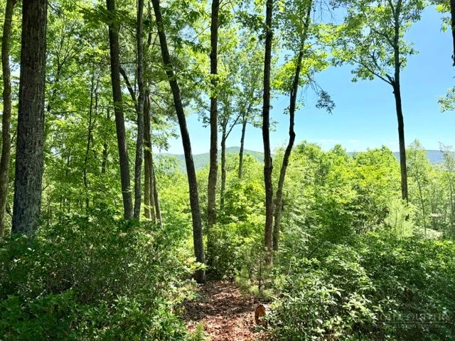 Image number 1 for the current listing