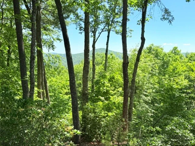 Image number 2 for the current listing