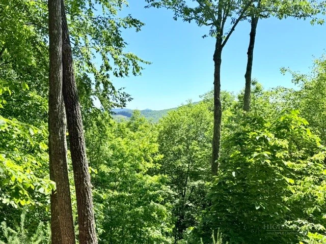 Image number 3 for the current listing