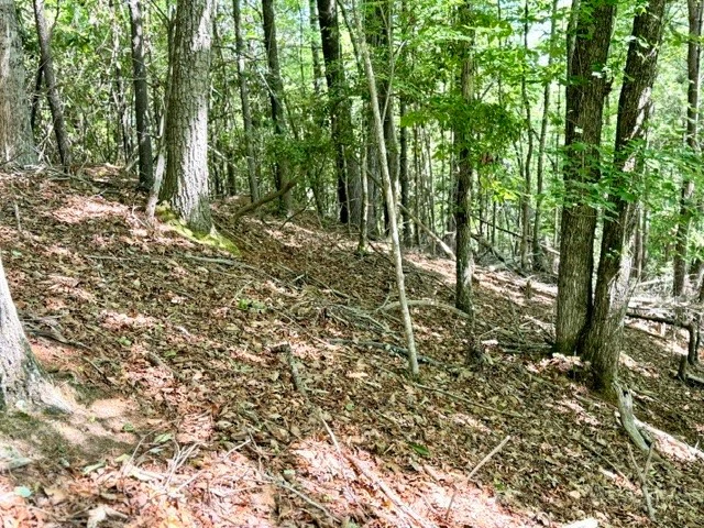 Image number 6 for the current listing