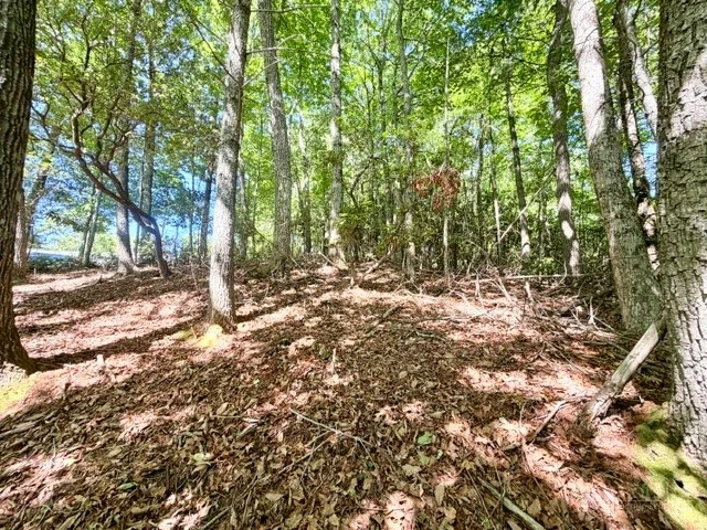 Image number 7 for the current listing