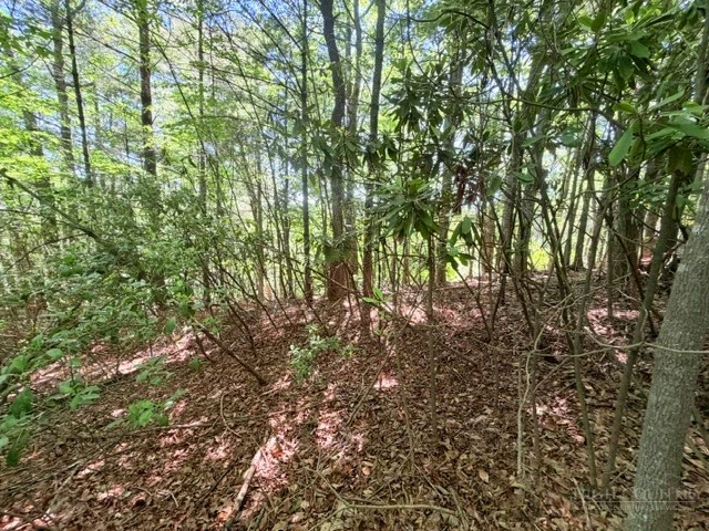 Image number 9 for the current listing