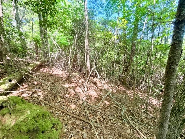 Image number 10 for the current listing
