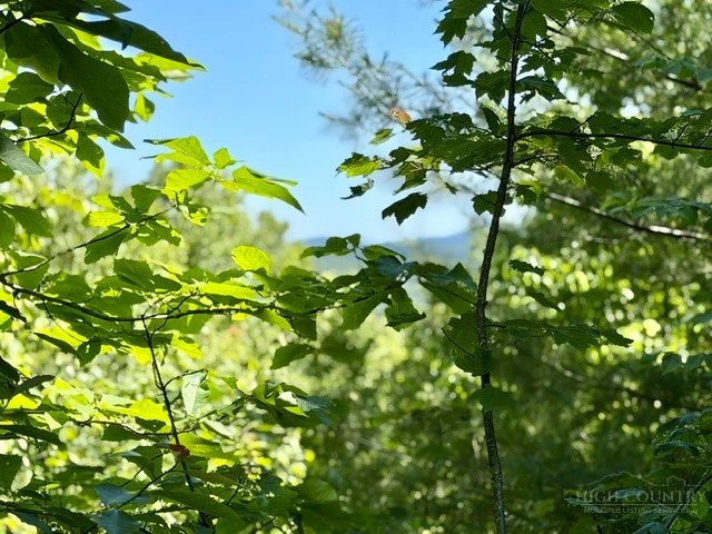 Image number 11 for the current listing