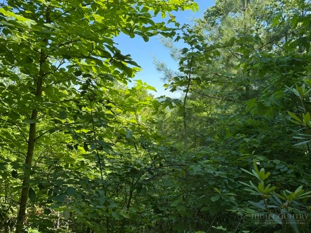 Image number 12 for the current listing