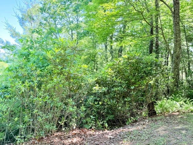 Image number 13 for the current listing