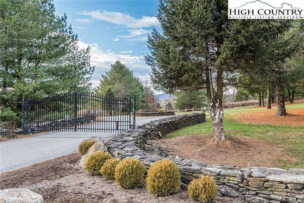 Image number 1 for the current listing
