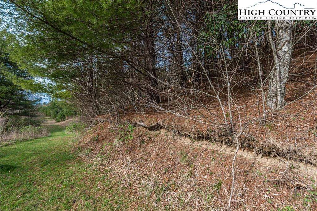 Image number 7 for the current listing