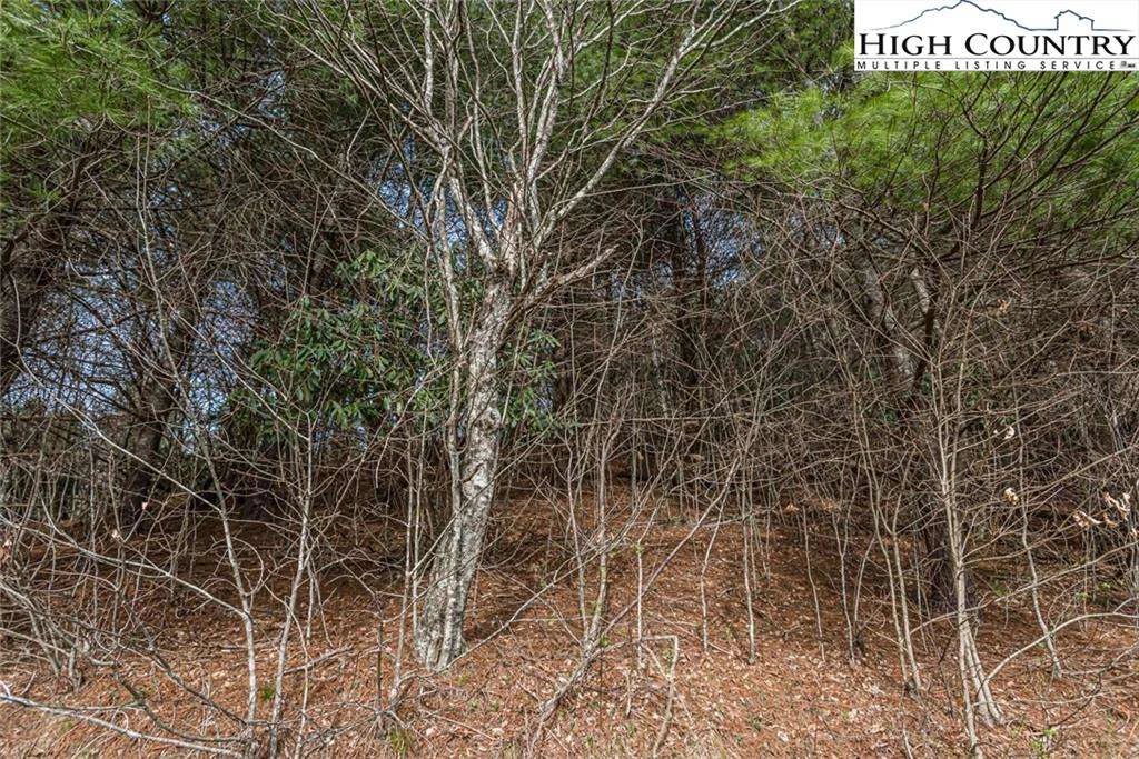 Image number 6 for the current listing