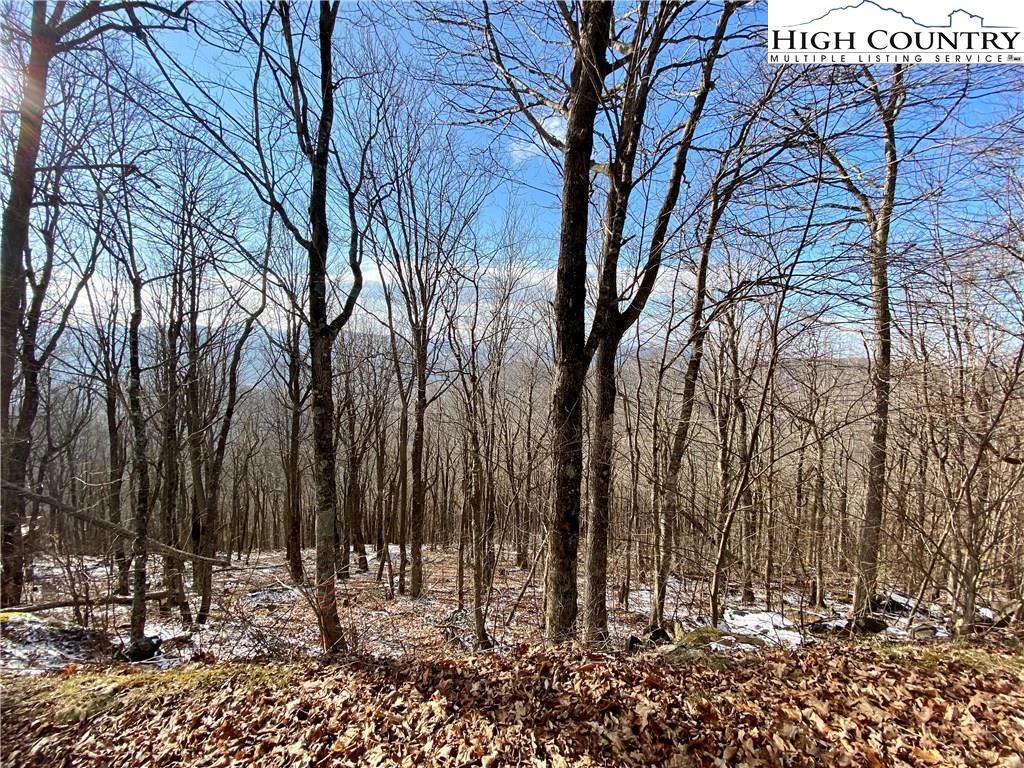 Image number 10 for the current listing