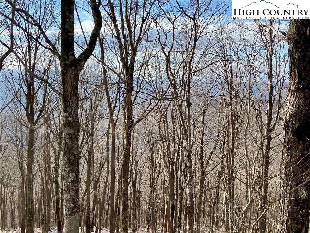 Image number 2 for the current listing