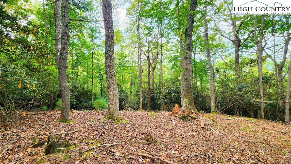 Image number 1 for the current listing