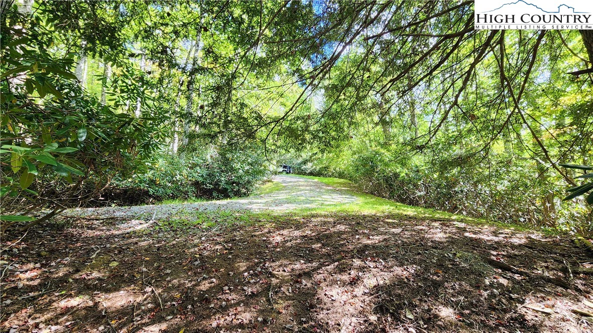 Image number 20 for the current listing
