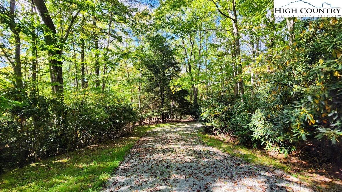 Image number 19 for the current listing