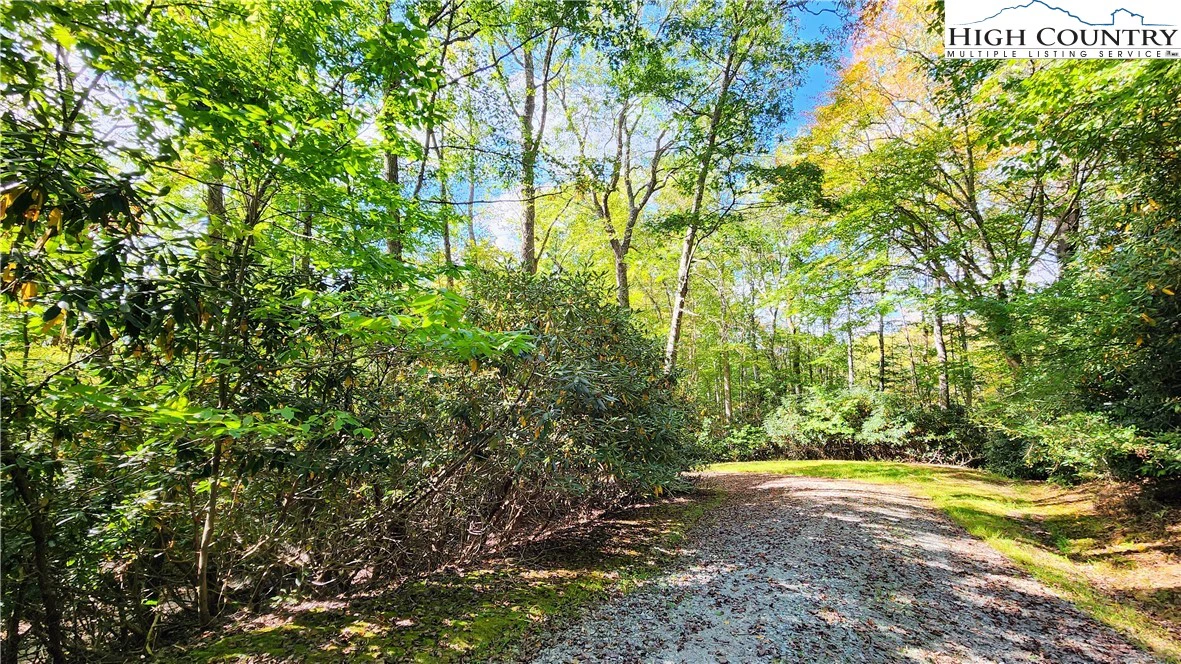 Image number 17 for the current listing