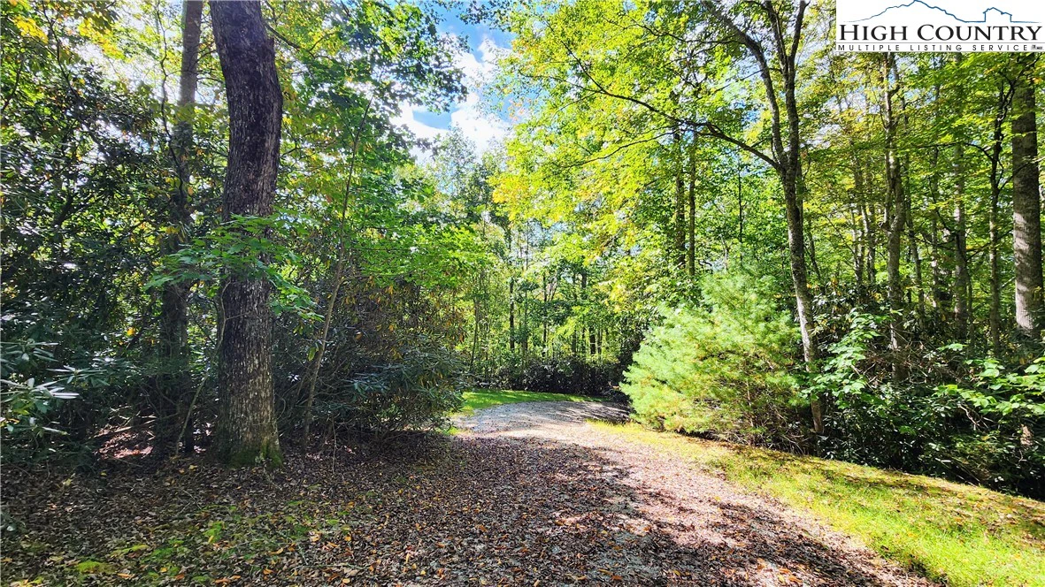 Image number 16 for the current listing