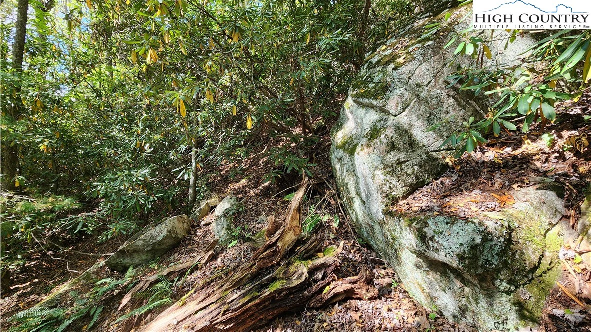 Image number 14 for the current listing