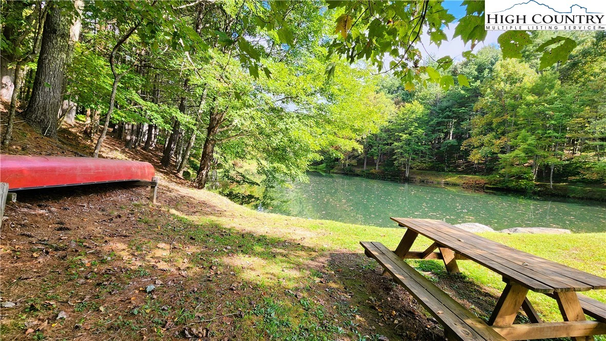 Image number 11 for the current listing