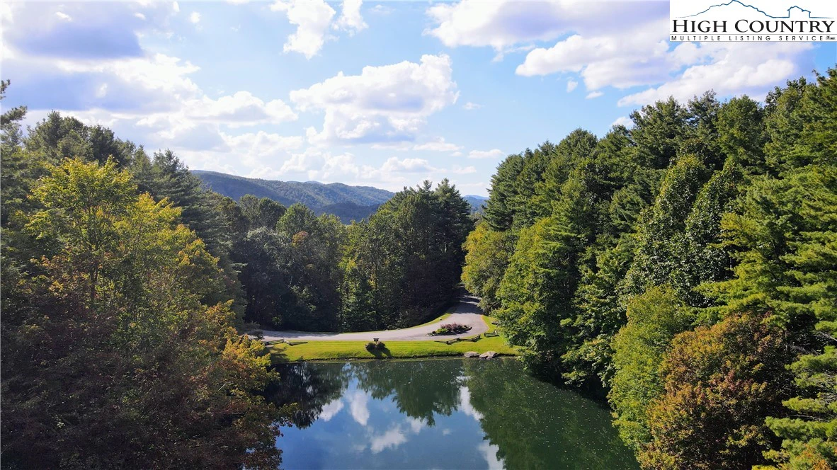 Image number 8 for the current listing