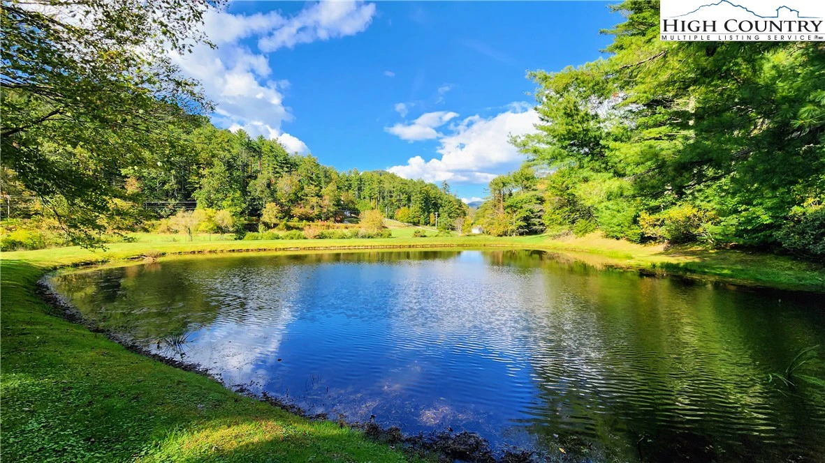 Image number 7 for the current listing