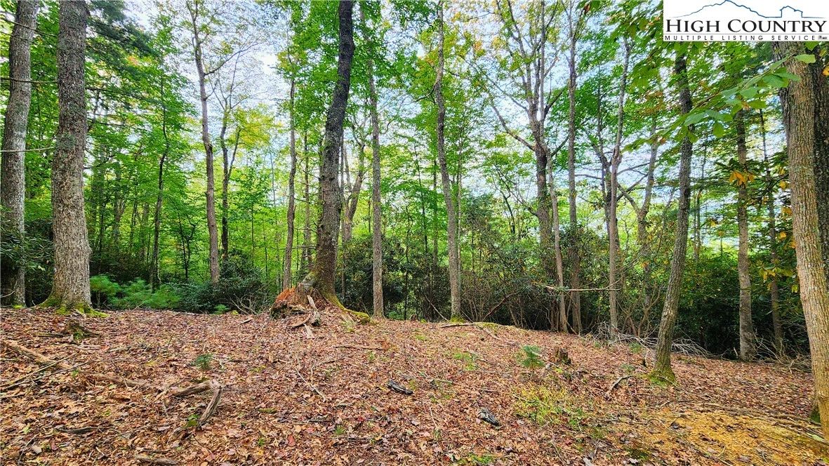 Image number 4 for the current listing