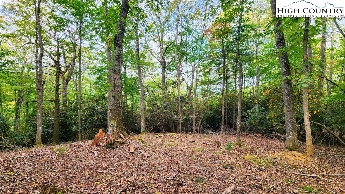 Image number 3 for the current listing
