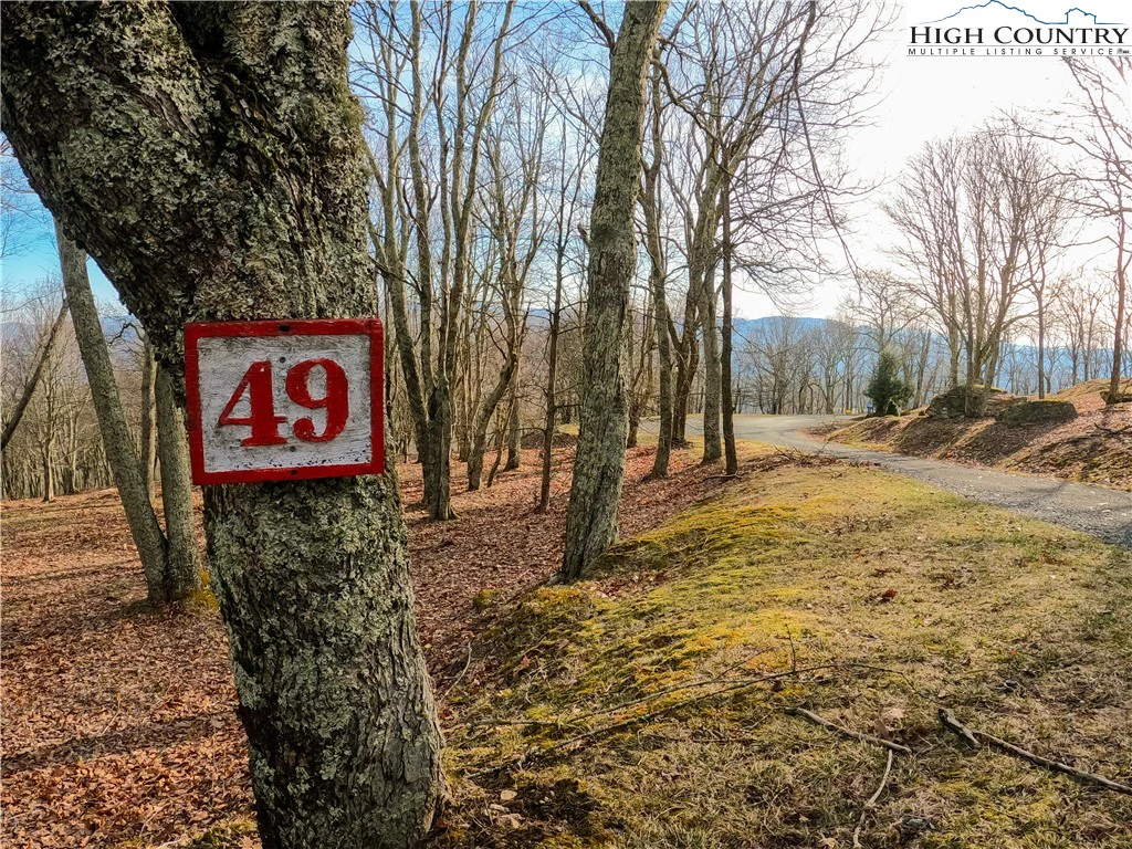 Image number 1 for the current listing