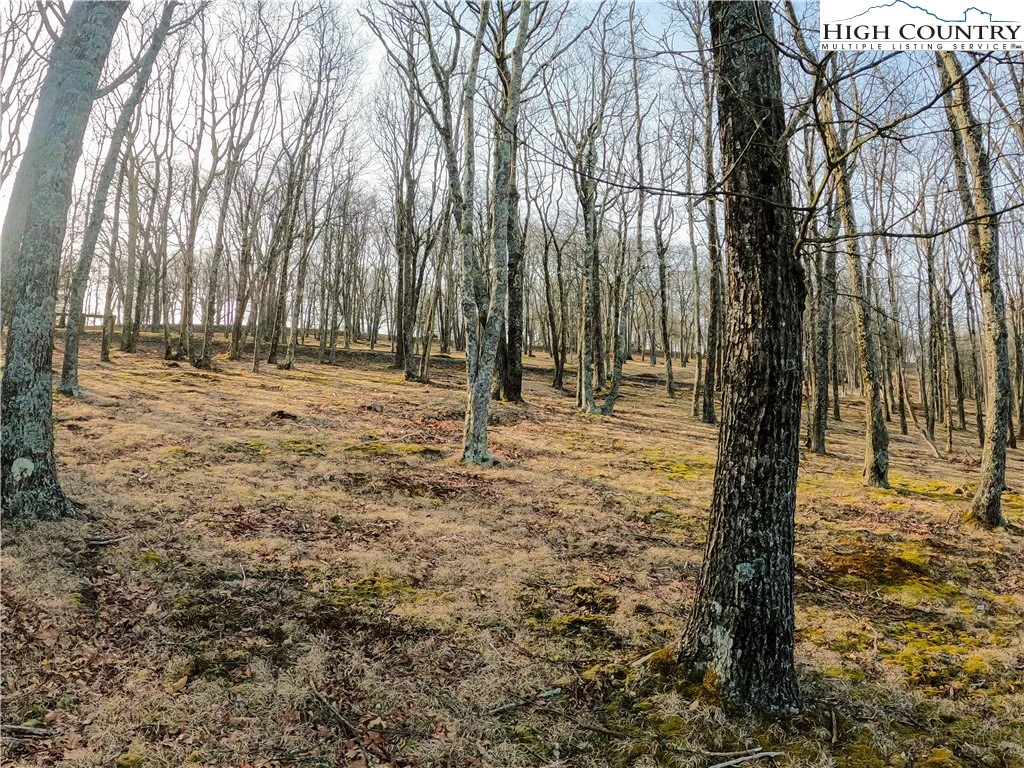 Image number 12 for the current listing