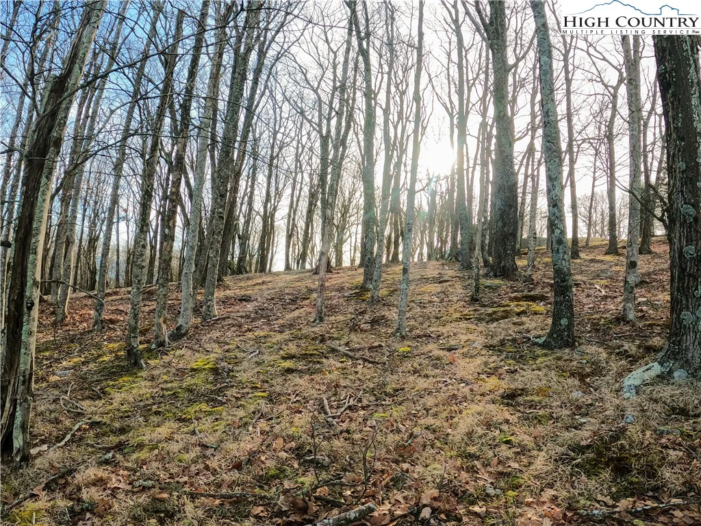 Image number 11 for the current listing
