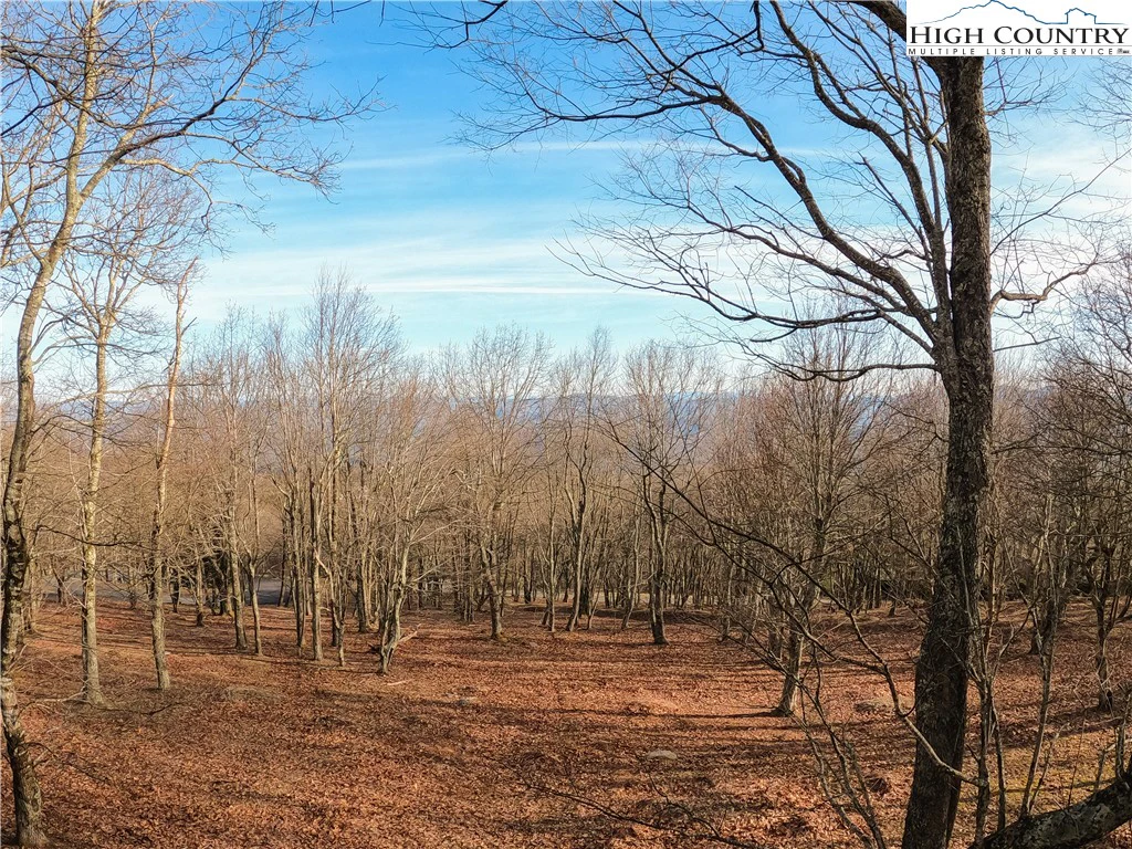 Image number 2 for the current listing