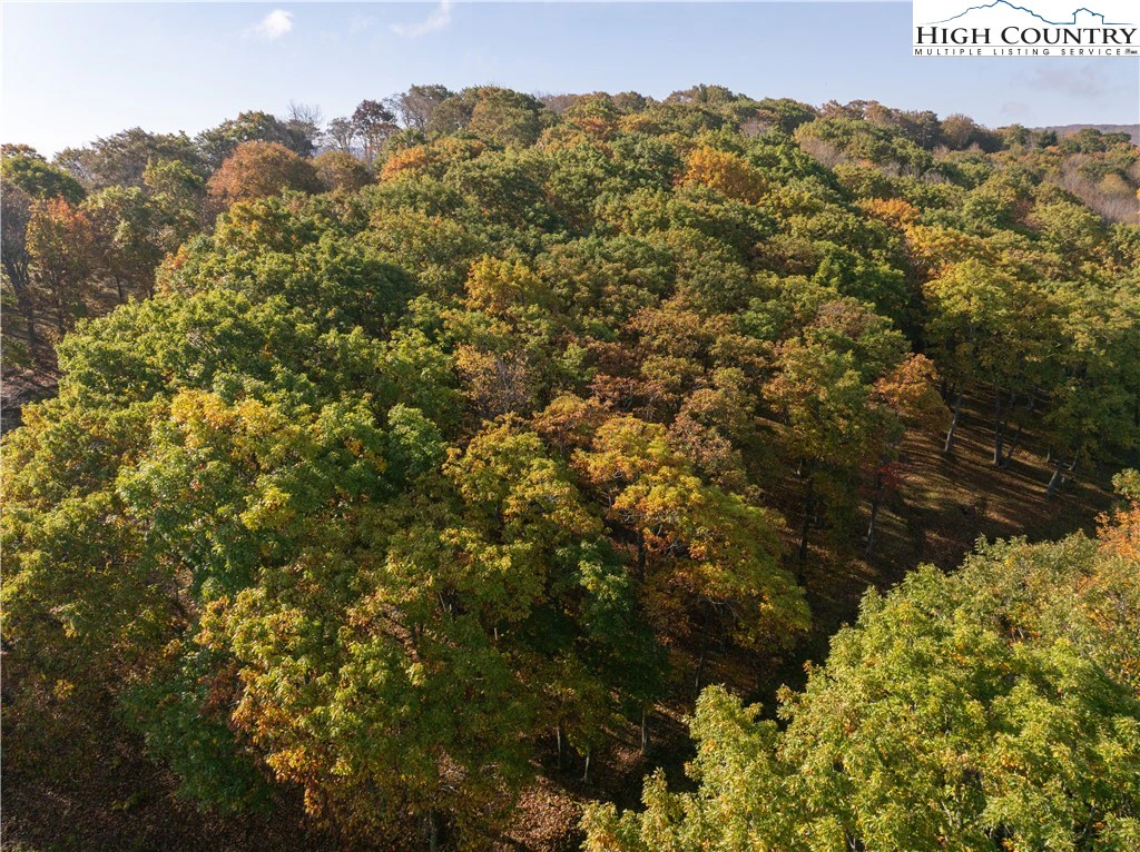 Image number 7 for the current listing