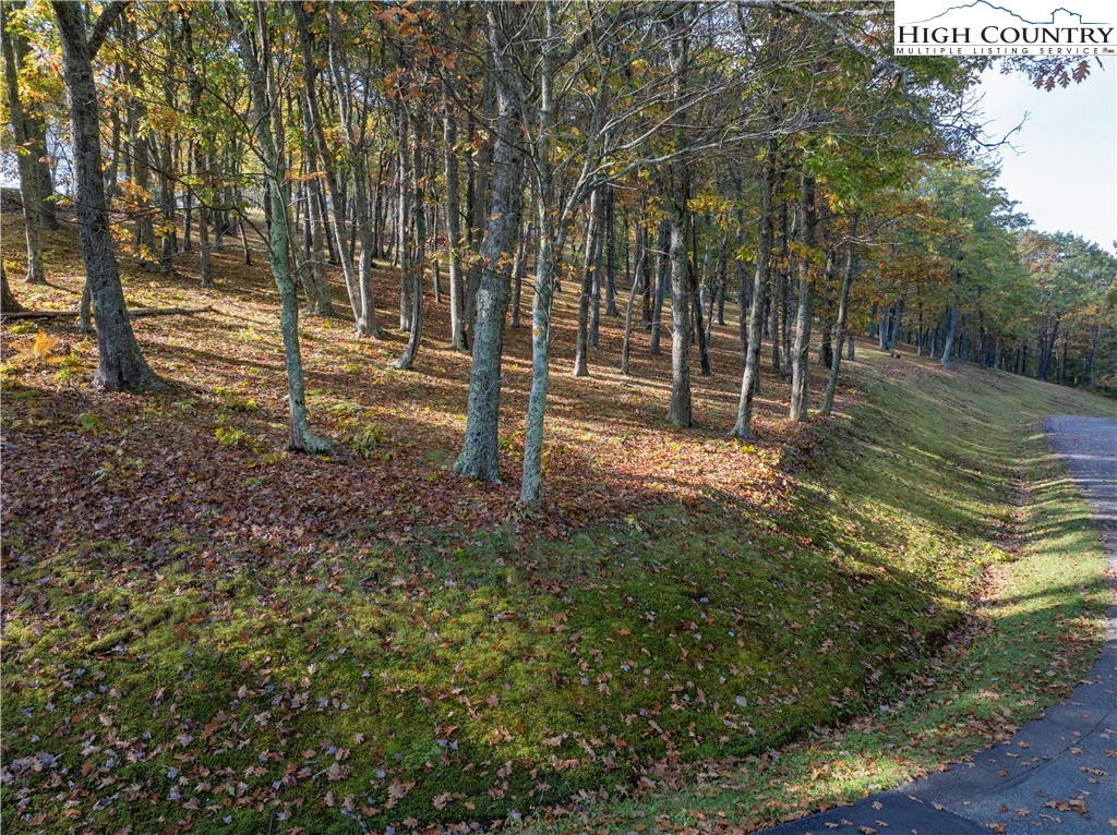Image number 6 for the current listing