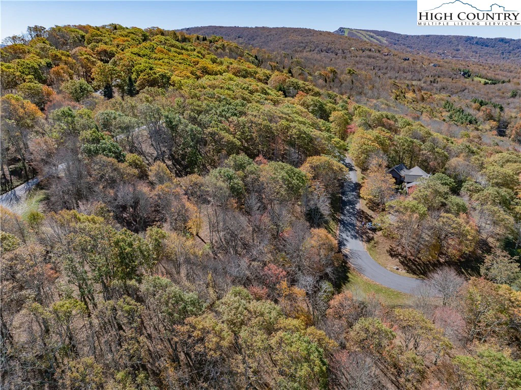Image number 3 for the current listing