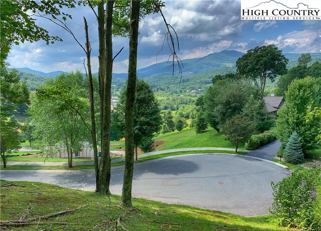 Image number 1 for the current listing