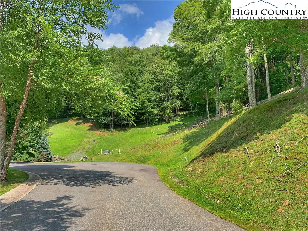 Image number 3 for the current listing