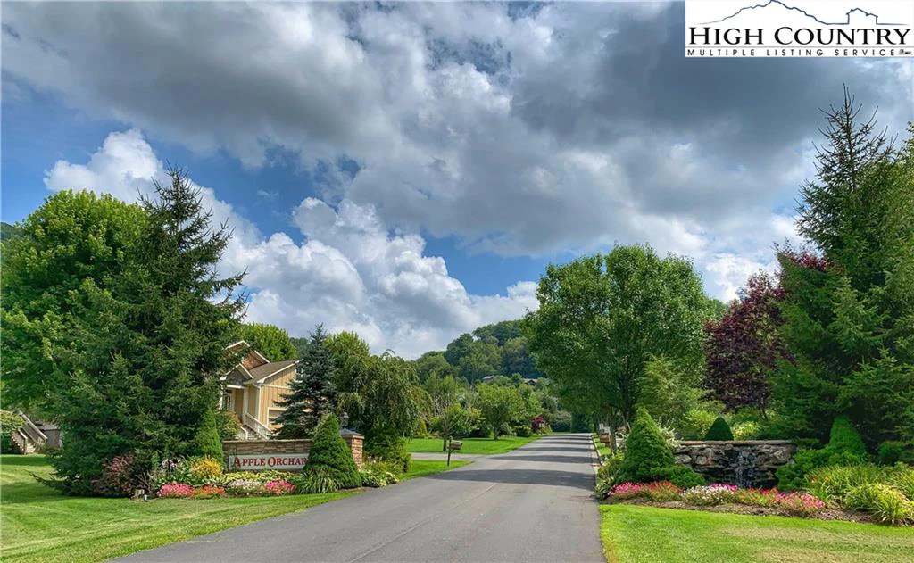 Image number 5 for the current listing