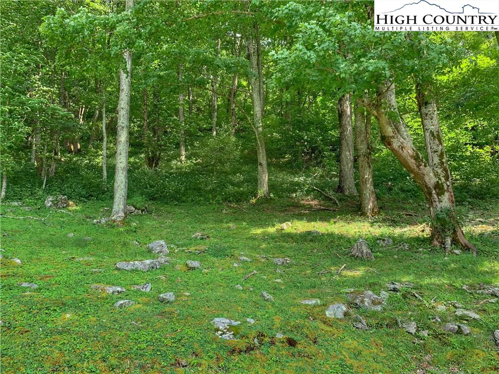 Image number 20 for the current listing