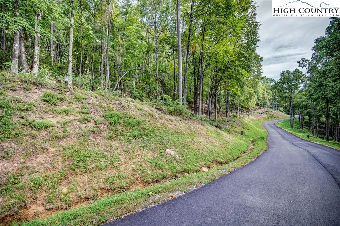 Image number 1 for the current listing