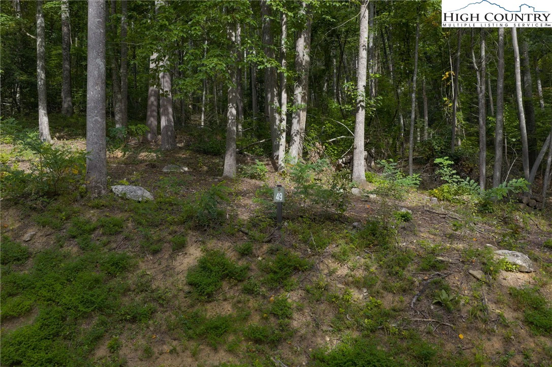 Image number 4 for the current listing