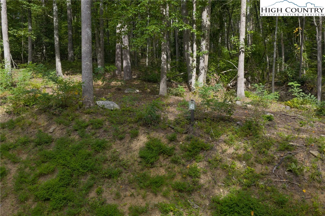 Image number 3 for the current listing