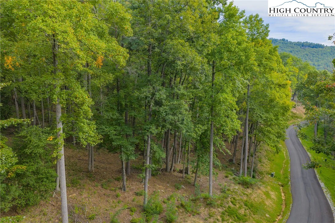 Image number 18 for the current listing