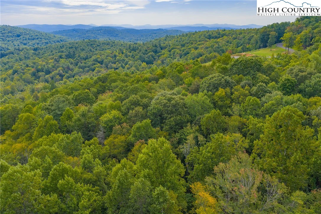 Image number 2 for the current listing