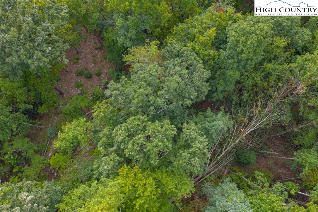 Image number 14 for the current listing