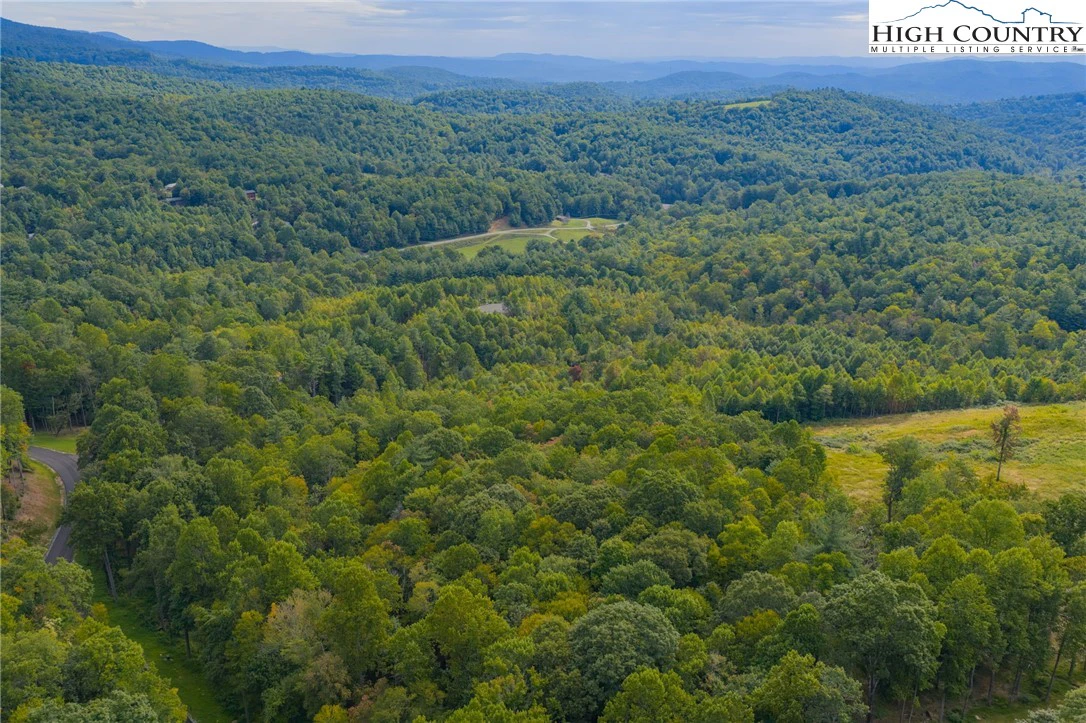 Image number 12 for the current listing
