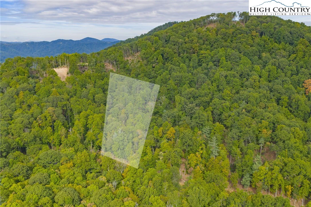 Image number 10 for the current listing