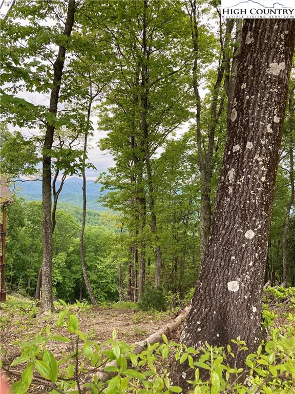Image number 1 for the current listing