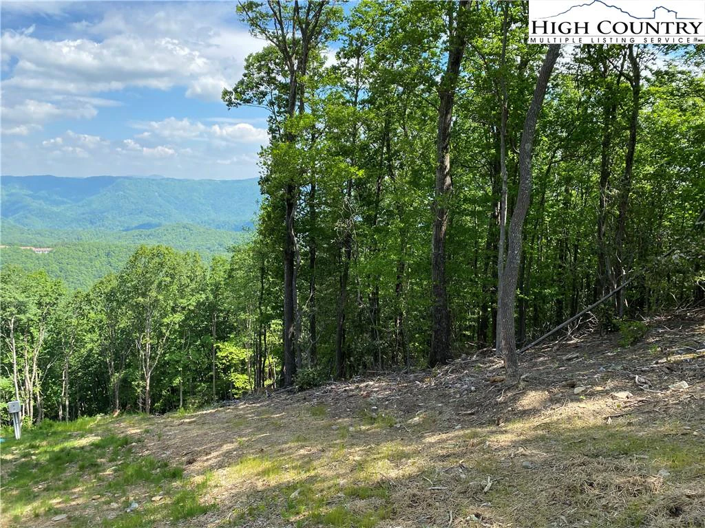Image number 5 for the current listing