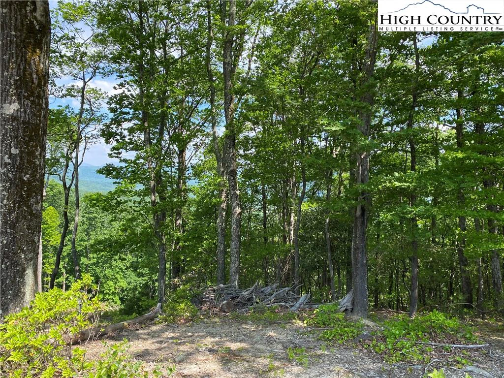 Image number 6 for the current listing