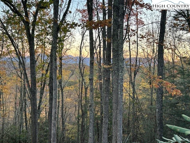 Image number 1 for the current listing